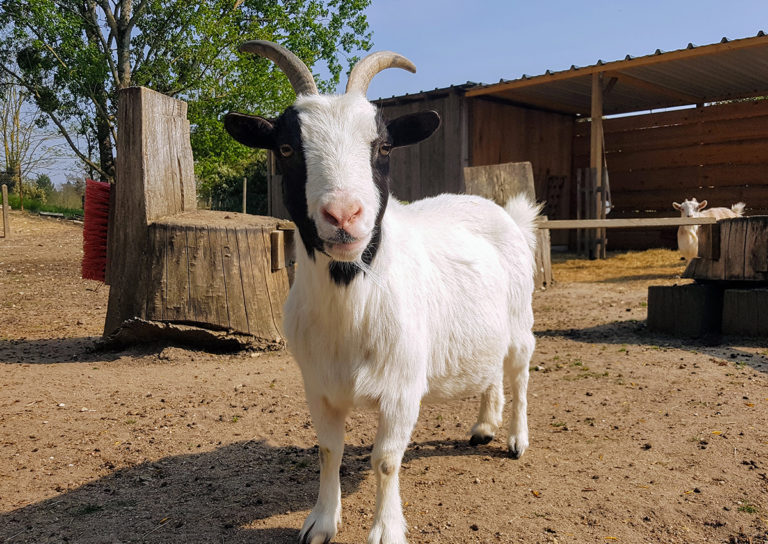 Galerie Photos Camping Couleurs du Monde